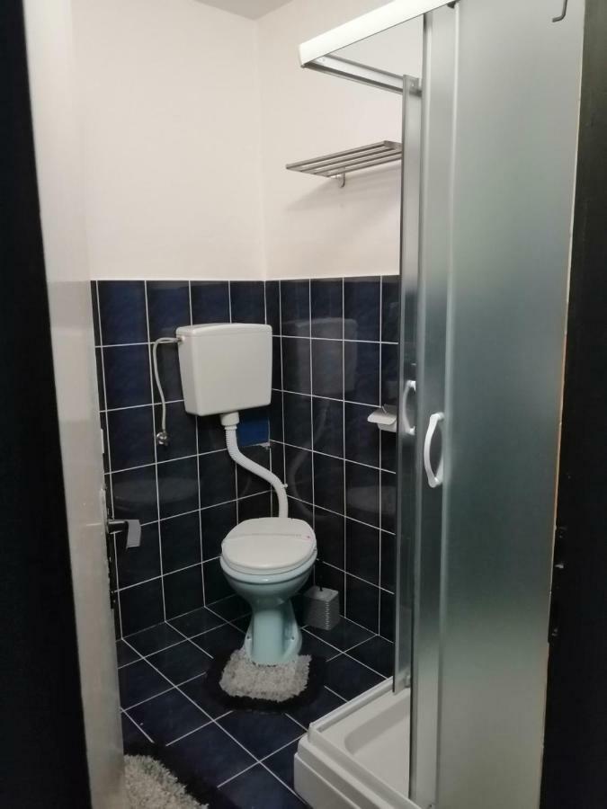 Apartman "Soba Sa Pogledom" โกลูบาค ภายนอก รูปภาพ