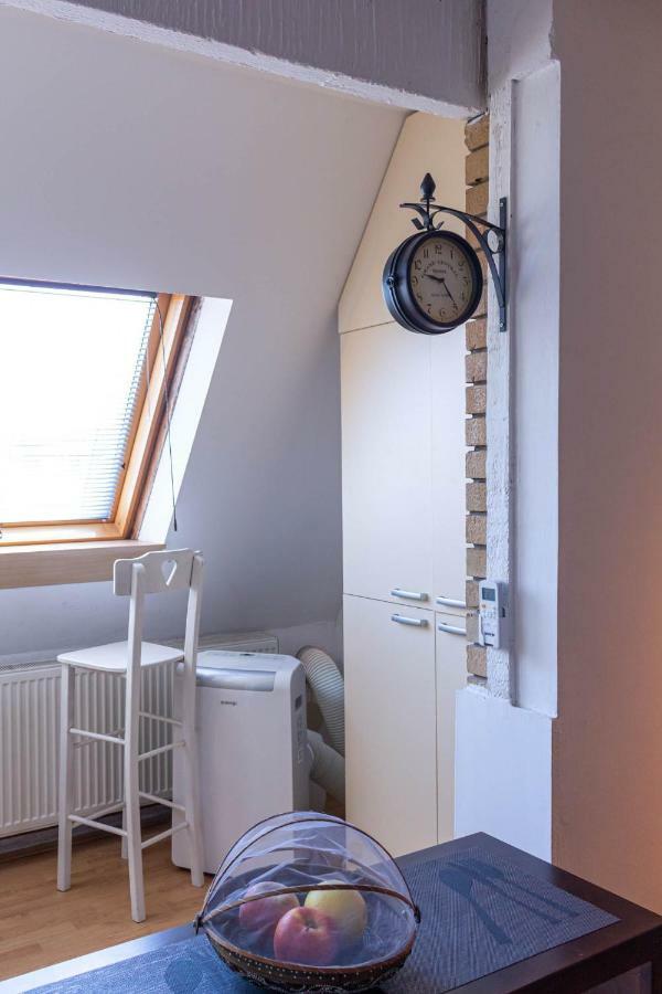 Apartman "Soba Sa Pogledom" โกลูบาค ภายนอก รูปภาพ